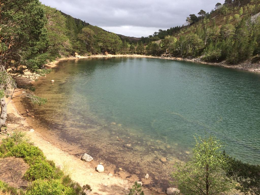Riverbank Lodge أفيمور المظهر الخارجي الصورة